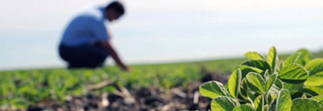 Agrónomos en Barranca Lima Perú