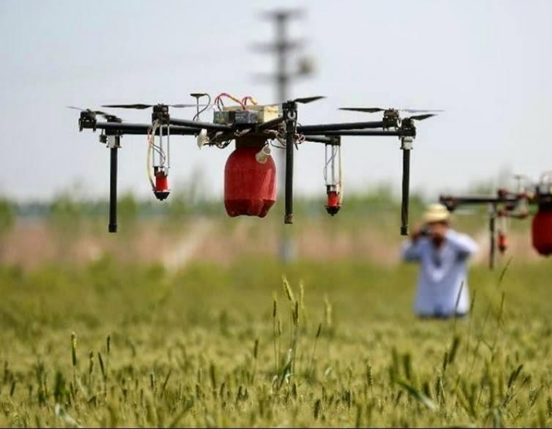 Empresas Agroindustriales en Barranca Lima Perú